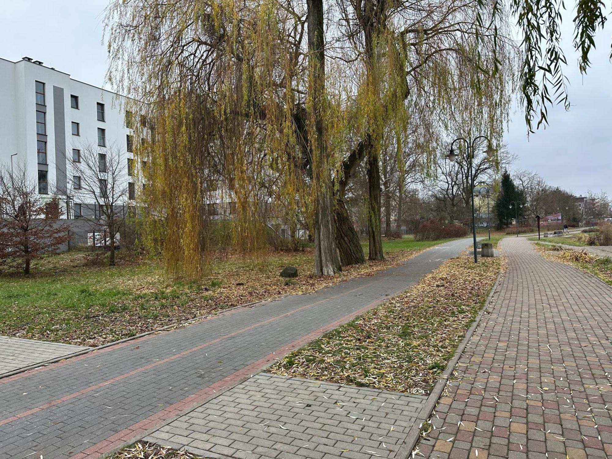 Apartament Kosciuszki 33F Илава Экстерьер фото